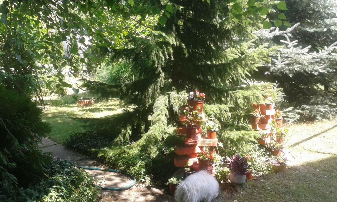Sobe Dijana Homestay