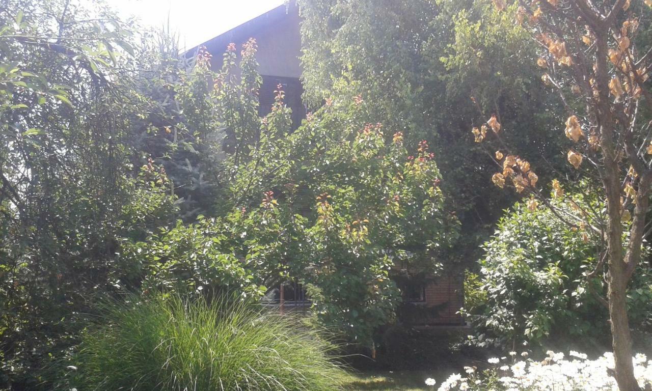 Homestay Sobe Dijana Subotica